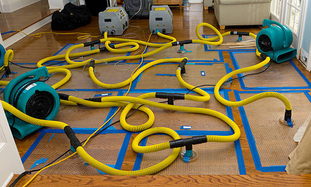 Professional Water Damage Repair technician working in Oakland, OK